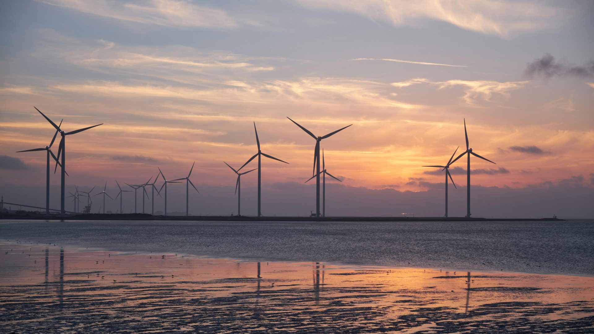 Wind Farm - Pexels Pixabay